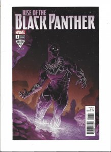 Rise of the Black Panther #1 Fried Pie Variant sb2