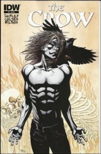 Crow: Death and Rebirth 2-A Kyle Hotz Cover FN