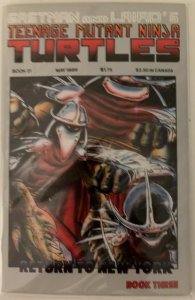 Teenage Mutant Ninja Turtles #21 (1989) Michelangelo 