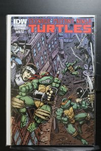 Teenage Mutant Ninja Turtles Annual 2012 (2012)