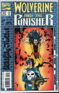 Wolverine and the Punisher: Damaging Evidence #2 (1993) Punisher