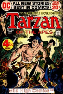 TARZAN (1972 Series)  (DC) #210 Very Good Comics Book