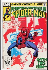 The Spectacular Spider-Man #71 (1982) Spider-Man