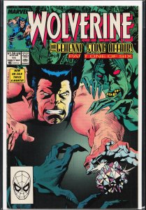 Wolverine #11 (1989) Wolverine