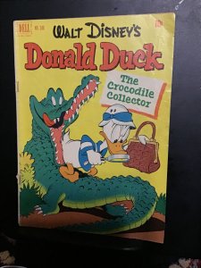 Four Color #348 (1951) Walt Disney’s The Crocodile Collector! Donald Duck VG+