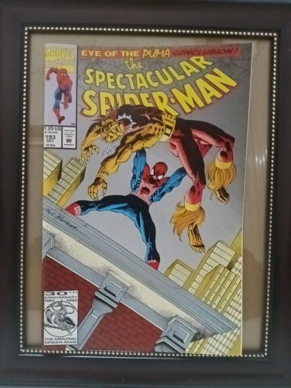 Spectacular Spider-Man, The #192, 193, 194, 195 & 196 (VF/NM; Marvel Nw176