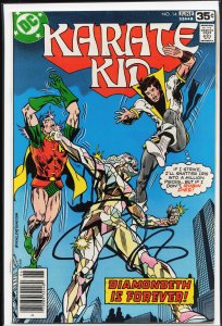 Karate Kid #14 (1978) Karate Kid
