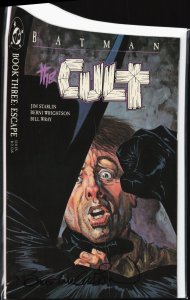 Batman: The Cult #3 (1988) Batman
