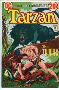 TARZAN #218 1973-DC-EDGAR RICE BURROUGHS-JOE KUBERT JUNGLE ART-fn/vf