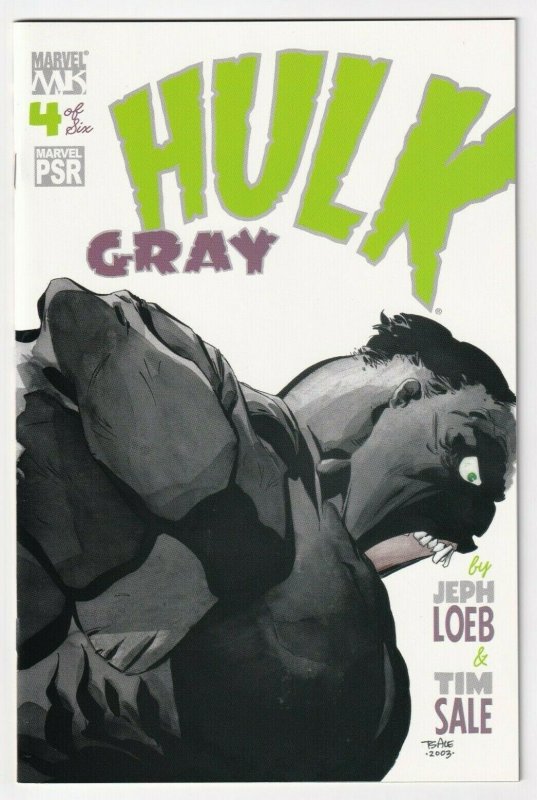 Hulk Gray #4 February 2004 Marvel Knights Jeph Loeb Tim Sale