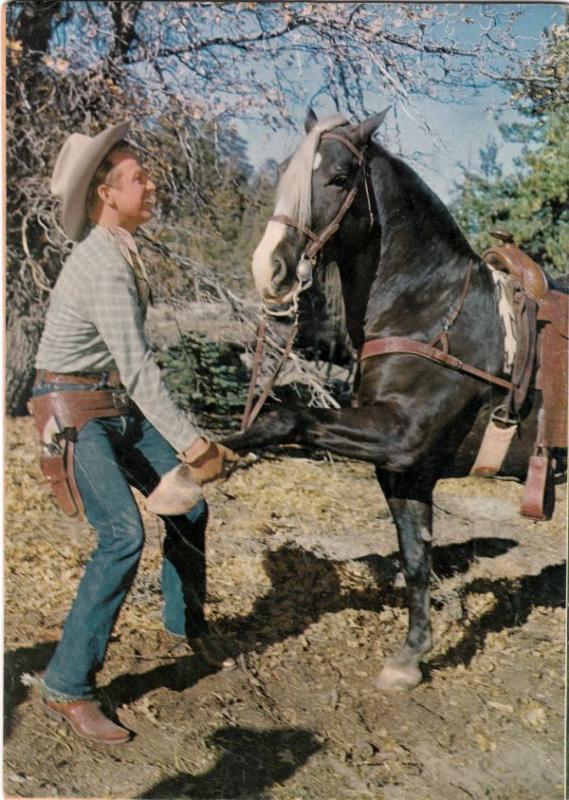 Rex Allen #8 (May-53) VF/NM- High-Grade Rex Allen, Koko