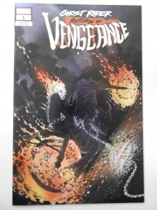 Ghost Rider: Return of Vengeance #1 Variant Edition