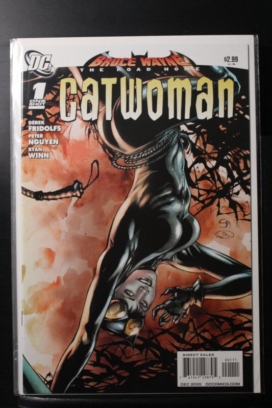 Bruce Wayne: The Road Home: Catwoman (2010)