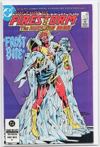 The Fury of Firestorm #20 (1984) Firestorm