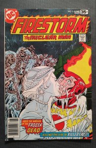 Firestorm #3 (1978)