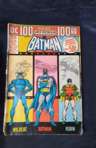 DC 100-Page Super Spectacular #14 1973 dc-comics Comic Book