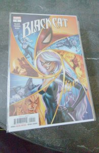 Black Cat #5 (2019)