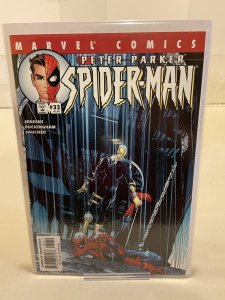 Peter Parker: Spider-Man #32  2001  9.0 (our highest grade)