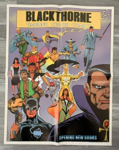 1987 BLACKTHORNE Timeline Color Comics 17x22 Promo Poster FVF 7.0 Jim Starlin