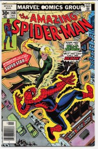 The Amazing Spider-Man #168 (1977) Spider-Man