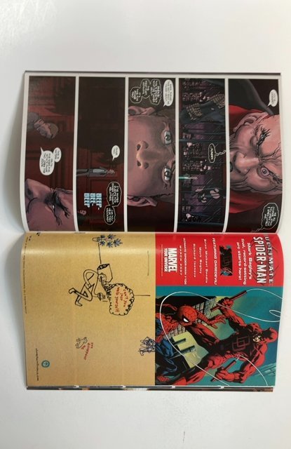 Spider-Man: Reign #3 (2007)