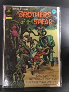 Brothers of the Spear #7 (1973)
