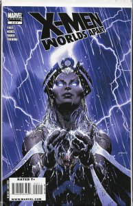 X-Men: Worlds Apart #2 (2009) Storm