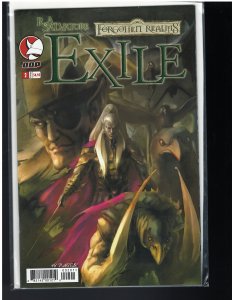 Forgotten Realms: Exile #2 (DDP, 2005)