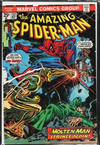 The Amazing Spider-Man #132 (1974) Spider-Man