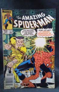 The Amazing Spider-Man #246 (1983)