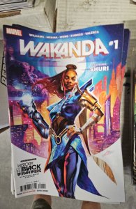 Wakanda #1 (2022)