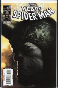 The Amazing Spider-Man #581  (2009)