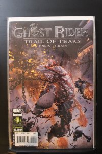 Ghost Rider: Trail of Tears #4 (2007)