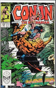 Conan the Barbarian #213 (1988) Conan