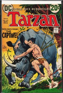 Edgar Rice Burroughs' Tarzan #212 (1972)
