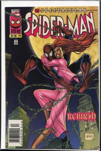 The Spectacular Spider-Man #241 (1996) Spider-Man