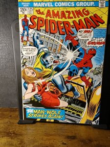 The Amazing Spider-Man #125 (1973) Spider-Man