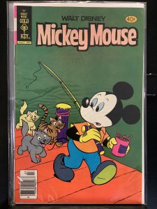 Mickey Mouse #197 (1979)