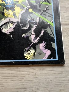 Doctor Strange & Dr. Doom Triumph & Torment Marvel Comics Graphic Novel 17