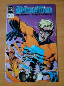 Animal Man #10 ~ NEAR MINT NM ~ 1989 DC Comics