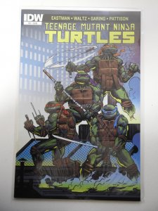 Teenage Mutant Ninja Turtles #51 (2015)