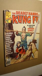 DEADLY HANDS OF KUNG FU 25 *HIGH GRADE* IRON FIST EARL NOREM ART