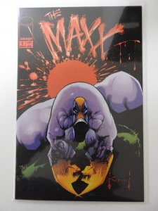 The Maxx #1 (1993)