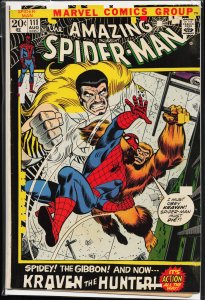 The Amazing Spider-Man #111 (1972) Spider-Man