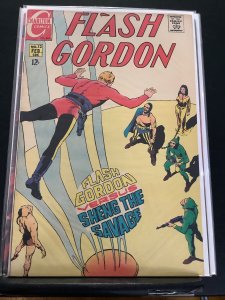 Flash Gordon #12 (1969)
