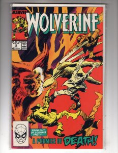 Wolverine #9 (1989)      / ID#05