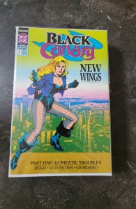 Black Canary #1 (1991)