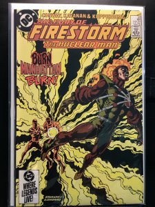 The Fury of Firestorm #33 Direct Edition (1985)