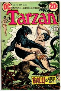 TARZAN of the APES #213, FN, Edgar Rice Burroughs,  Joe Kubert, 1972