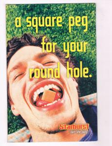 Spider-Man/Daredevil #1 NM Marvel Comics Marvel Knights Comic Book 2002 DE30